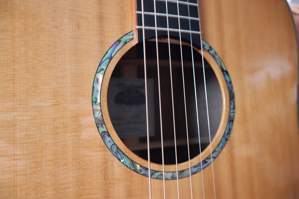 Tanglewood Rosewood Smart Series - TRS5SE