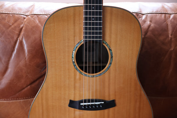Tanglewood Rosewood Smart Series - TRS5SE