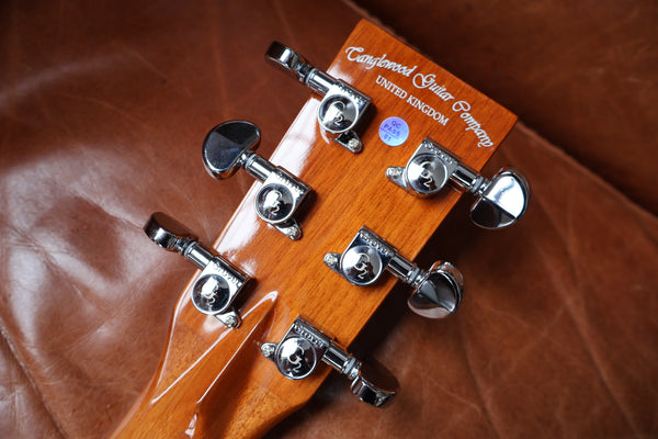 Tanglewood Rosewood Smart Series - TRS4CE