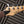 Carvin USA B4