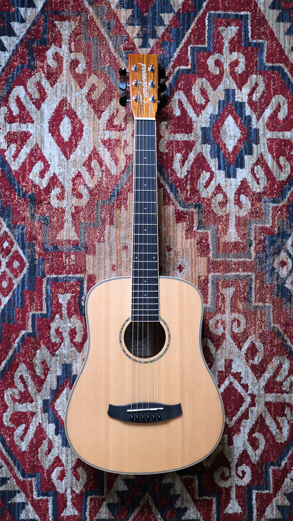 Tanglewood Roadster X Series Travel Guitar