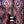 Northstar Pro Blues Commander - Morello Cherry