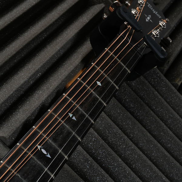Taylor Builder's Edition 717e with V-Class Bracing 2019 - Present - Natural