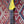 Northstar Pro Blues Commander - Graffiti Yellow