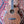 Tanglewood Reunion Pro Super Folk TRU4CEAW