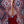 Northstar Pro Blues Commander - Morello Cherry
