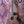 Tanglewood Reunion Pro Super Folk TRU4CEAW