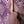 Tanglewood Reunion Pro Super Folk TRU4CEAW