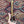Pre-Loved Fender FSR Player Stratocaster HSS, Shell Pink