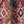 Epiphone Les Paul Junior