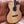 Tanglewood Rosewood Smart Series - TRS4CE