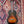 Tanglewood TW40SOVSE - Sundance Historic Mini Folk