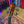 Stentor Student Standard Full Size Violin