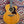 Pre-Loved 12-String Takamine G Series