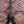 Pre-Loved Hagstrom Ultra Swede