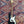 Pre-Loved Fender Precision Bass