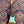 Pre-Loved Fender Player Series 60s Stratocaster - Sunburst