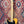 Pre-Loved Fender Player Telecaster® Left-Handed