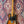 Pre-Loved Fender Custom Shop '52 Reissue Telecaster NOS (#R99367)
