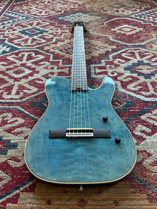 Pre-Loved Ferndale EC-2 Electro-Classical Guitar