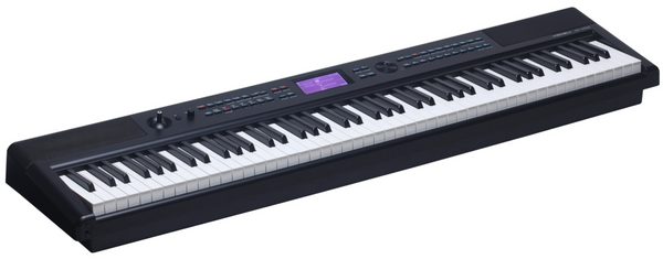 The Medeli Performer Series SP-A500 Digital Compact Piano