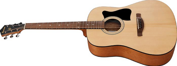 Ibanez V40 V Series Acoustic