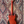 Gibson SG Tribute Vintage Cherry Satin