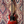 Gibson SG Tribute Vintage Cherry Satin