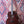 Faith Nexus Venus Cognac inc Gigbag