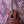 Tanglewood Elemental Parlour TE8EBL