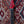 Northstar Pro Blues Commander - Morello Cherry